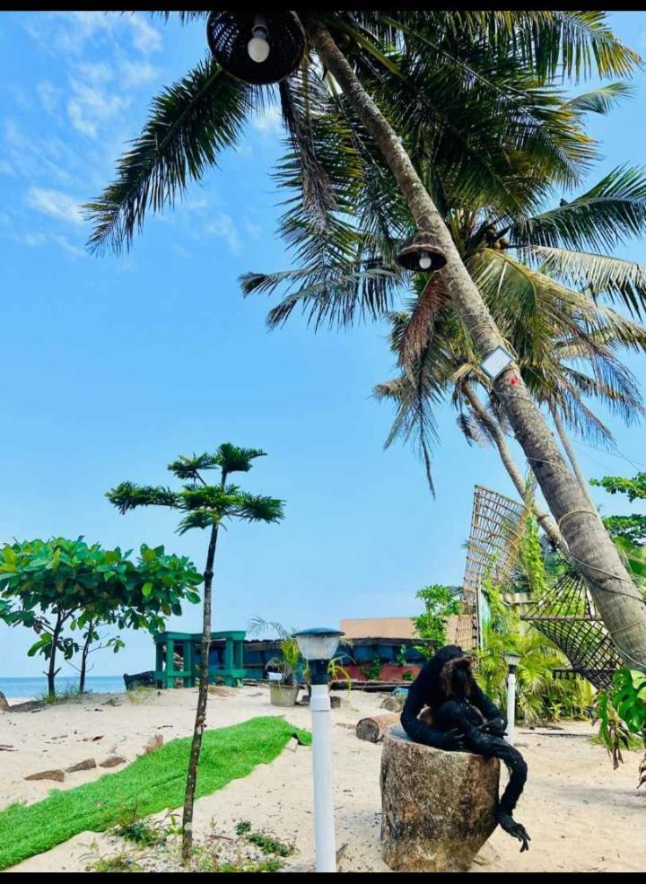 Alivious Beach Homestay Alappuzha Exterior foto